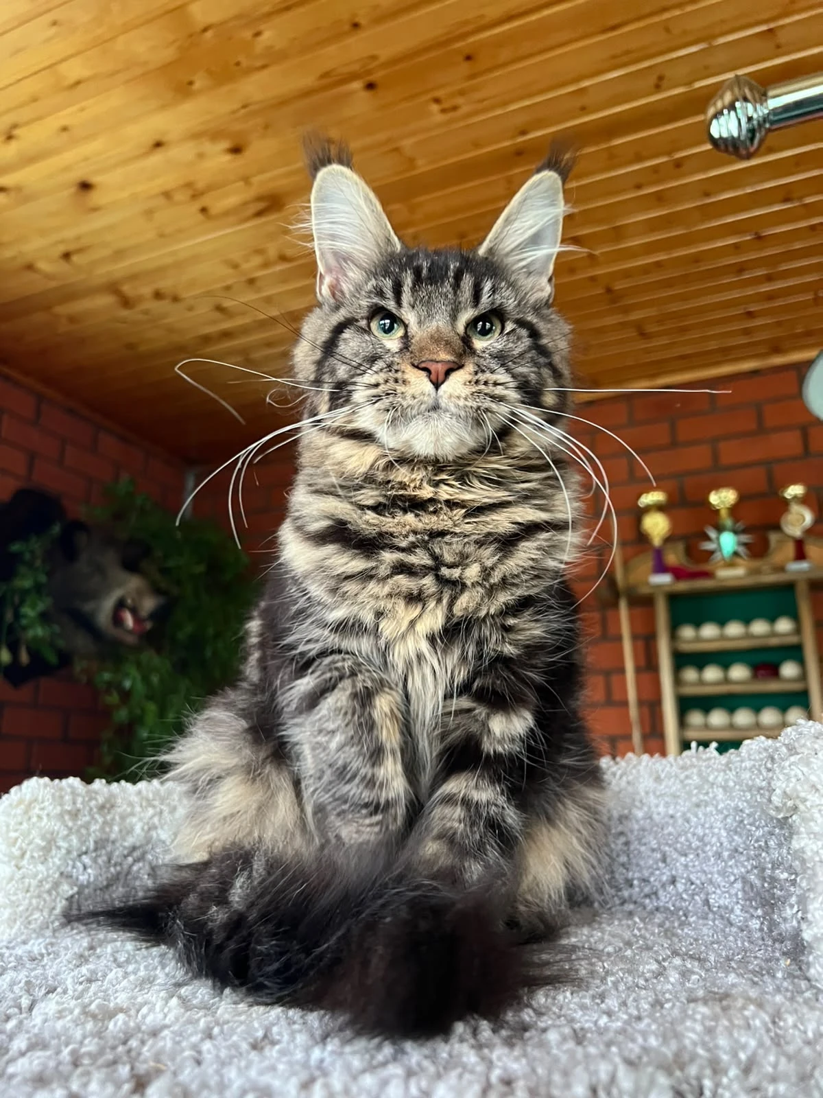 Portrait of Flora