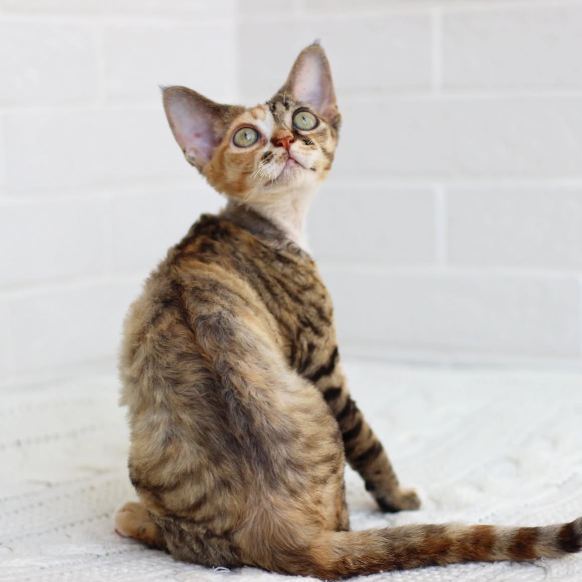 Helen sitting for a portrait