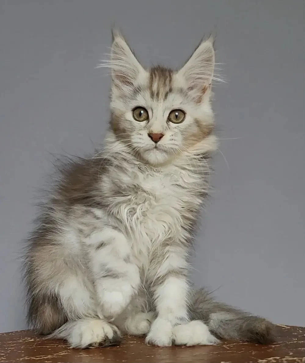 Portrait of Helga