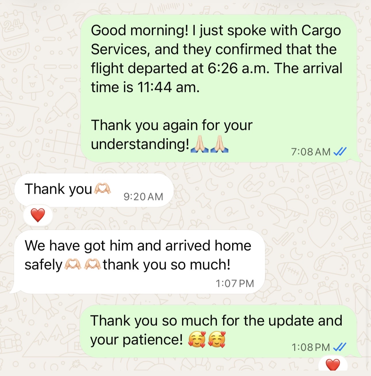 A client message confirming their kitten arrived home safely through cargo service