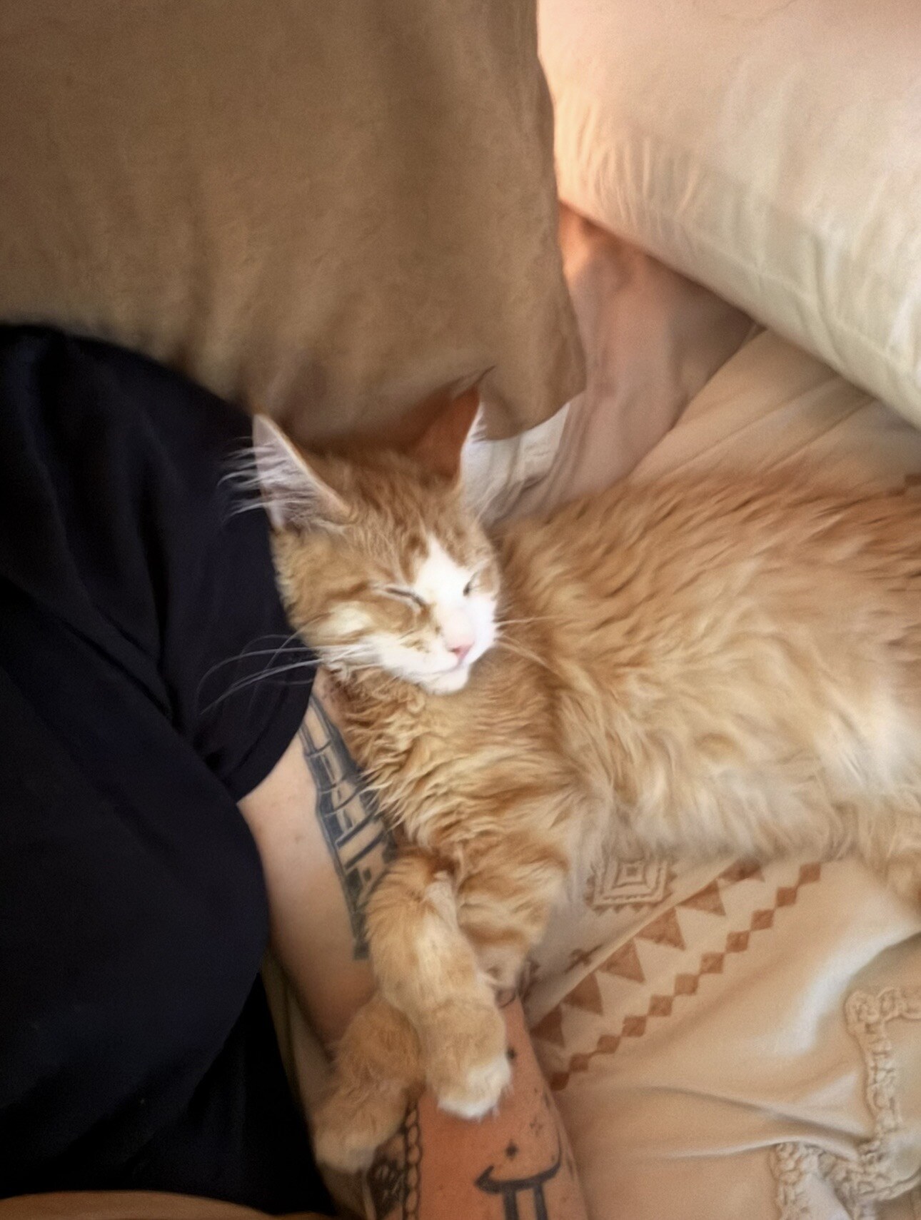 Gustavo relaxing at home with his family
