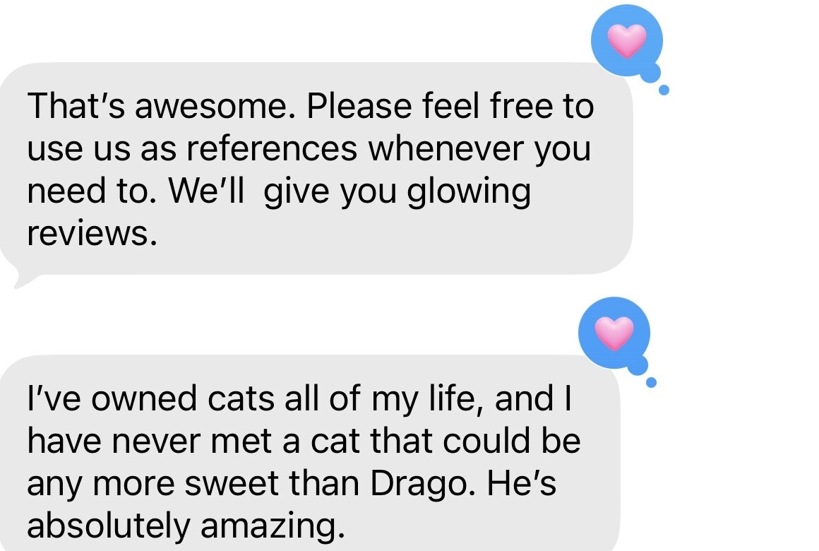 A client message offering glowing reviews and calling Drago absolutely amazing