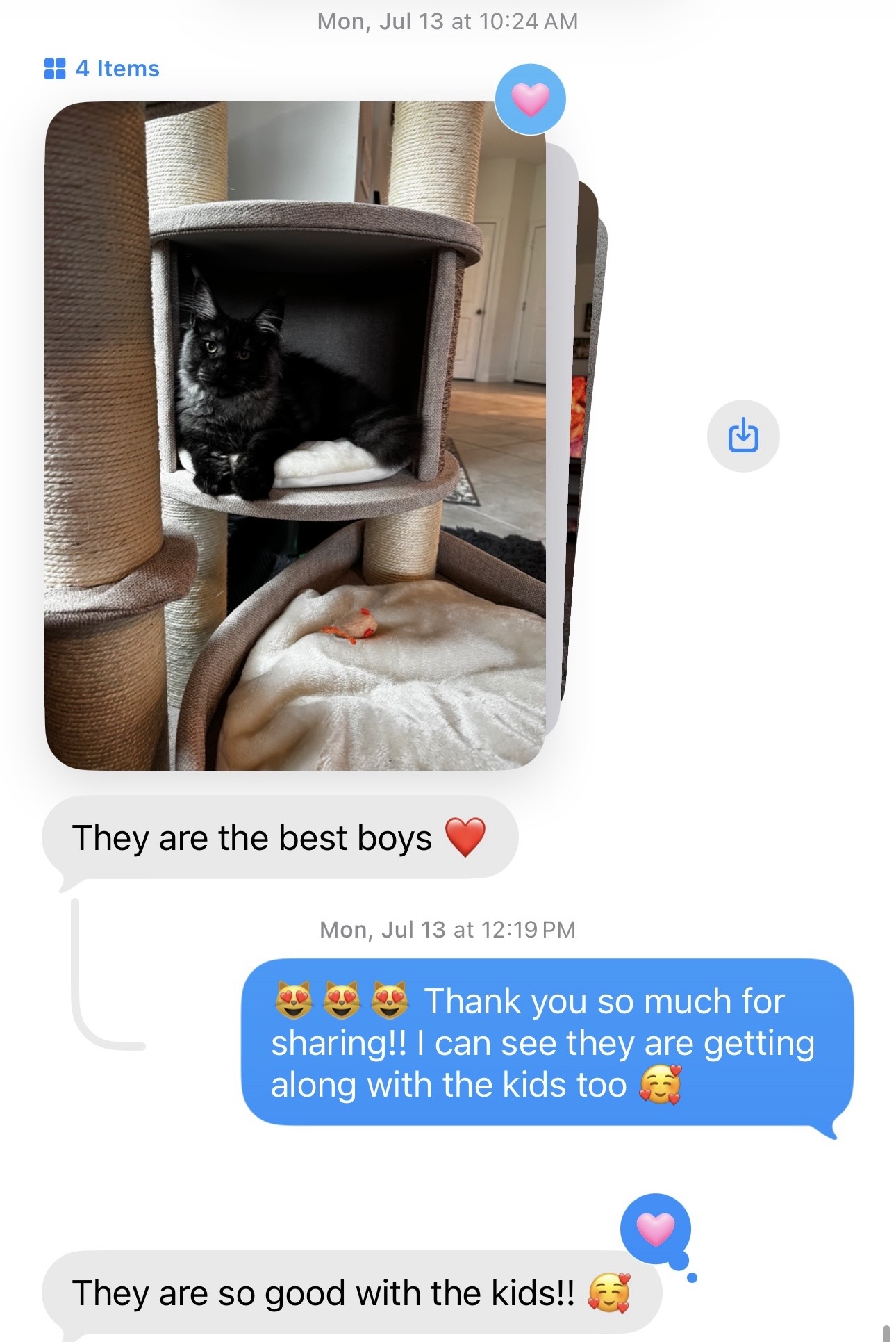 A client message calling their two kittens the best boys