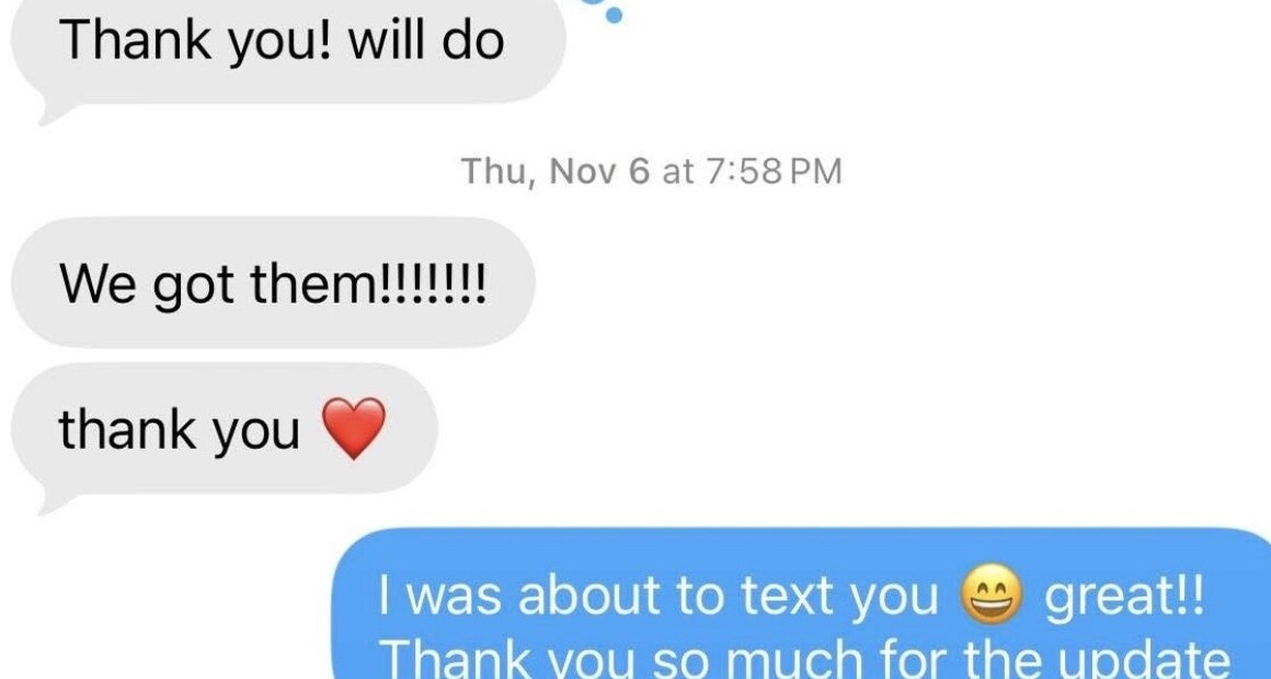 A client message confirming they received their two kittens